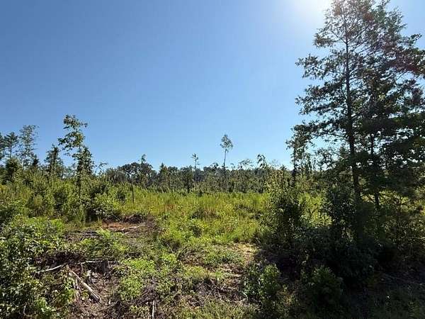 150 Acres of Recreational Land for Sale in Tremont, Mississippi
