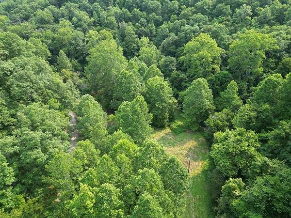 43 Acres of Recreational & Residential Land for Sale in Spencer, West Virginia