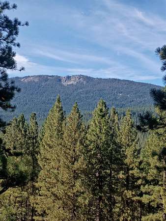 4.7 Acres of Land for Sale in Clio, California
