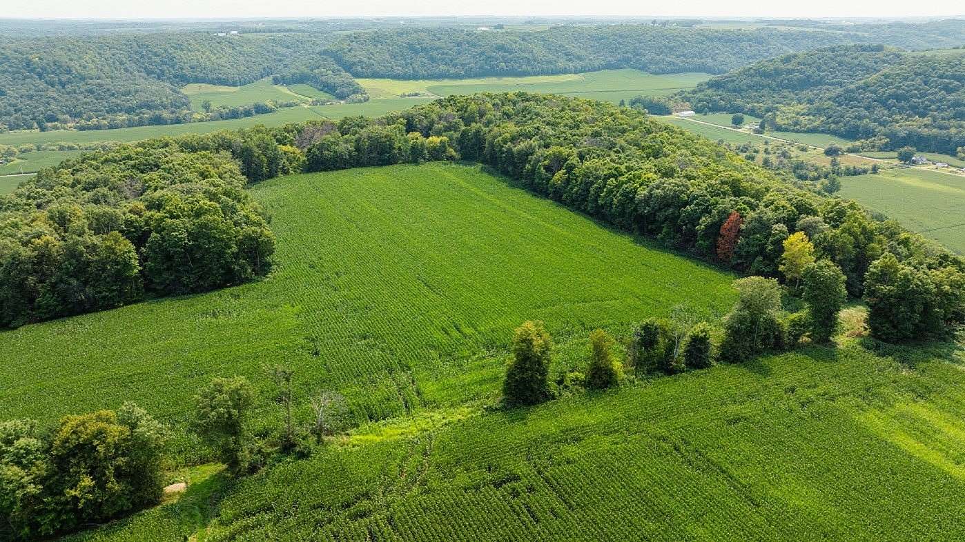 40 Acres of Land for Sale in Arkansaw, Wisconsin