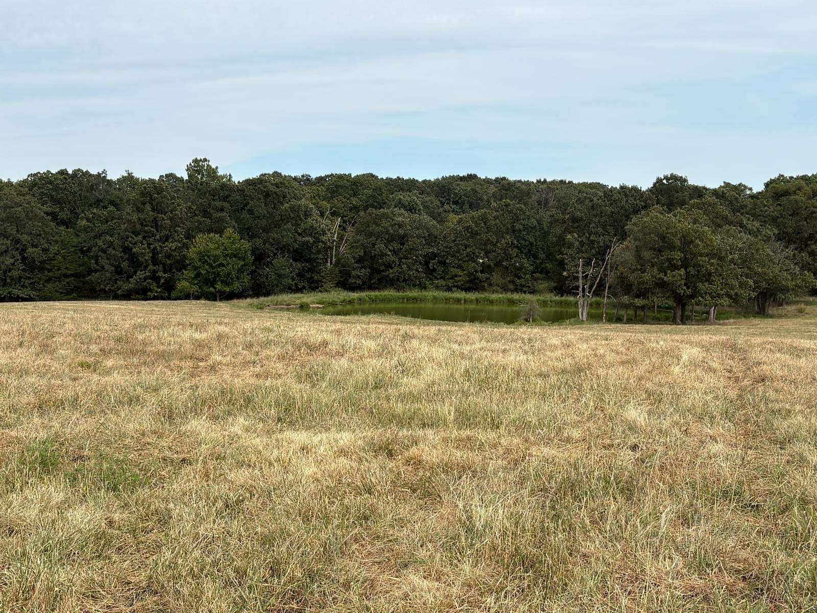34 Acres of Land for Sale in Lebanon, Missouri