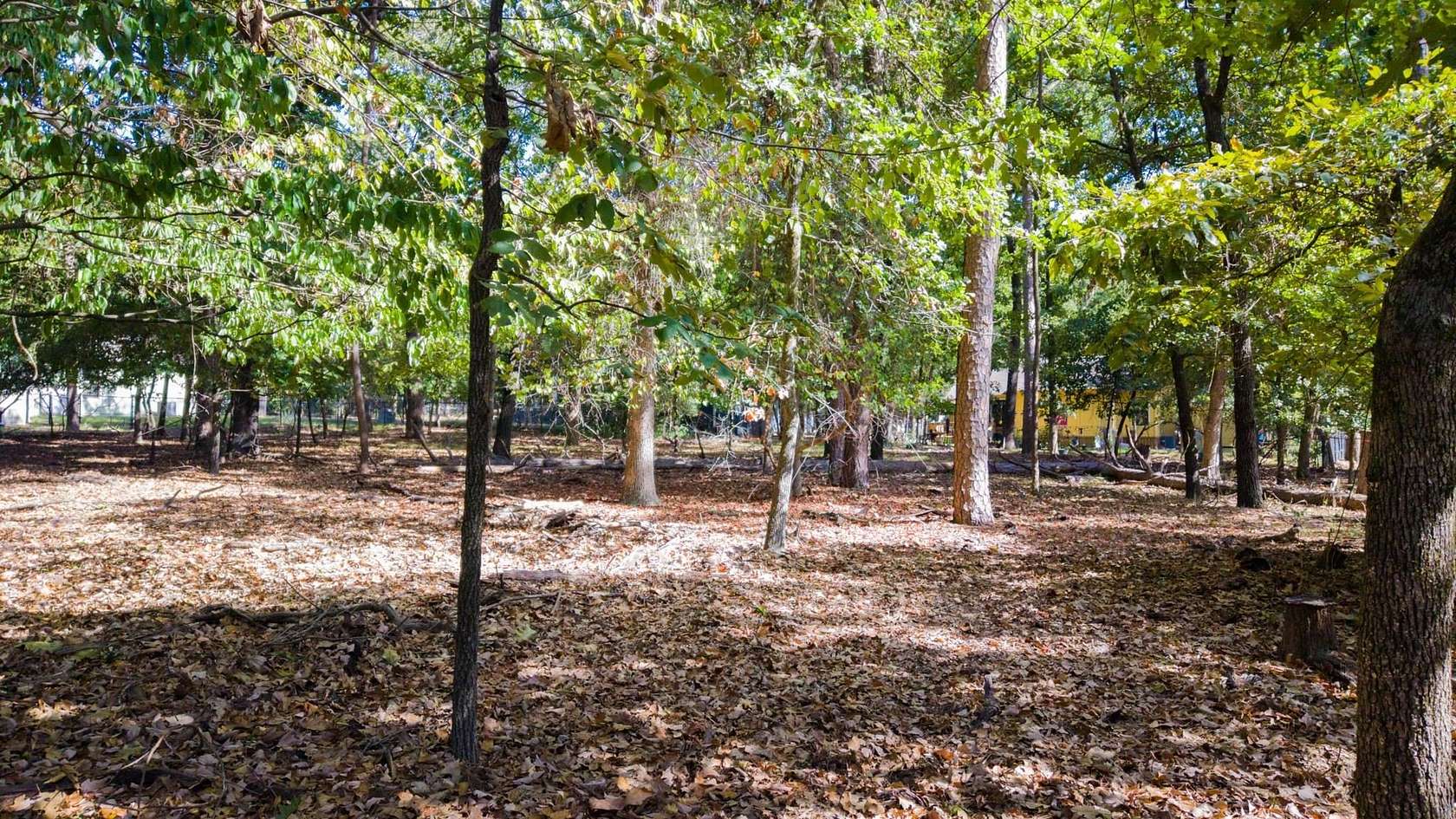 0.26 Acres of Residential Land for Sale in Holly Lake Ranch, Texas