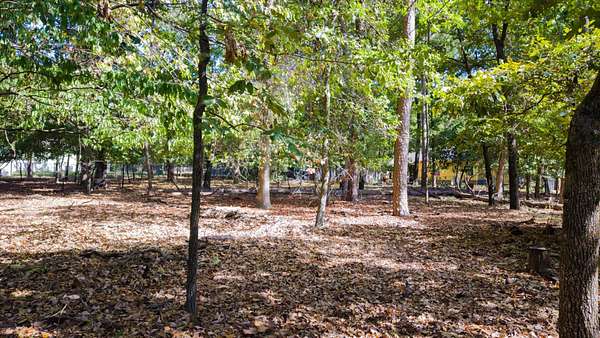 0.26 Acres of Residential Land for Sale in Holly Lake Ranch, Texas