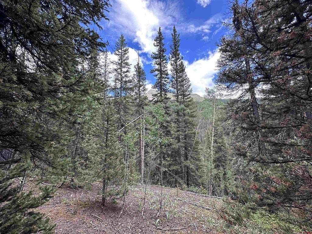 4.86 Acres of Land for Sale in Silverton, Colorado
