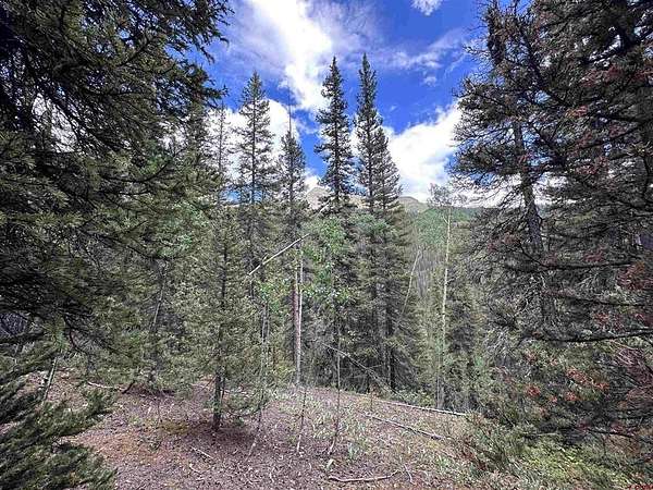 4.86 Acres of Land for Sale in Silverton, Colorado