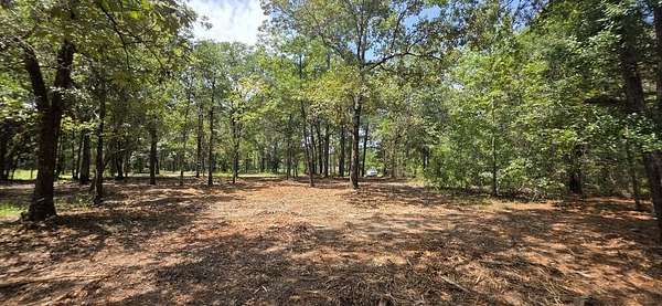 3.1 Acres of Residential Land for Sale in Wicksburg, Alabama