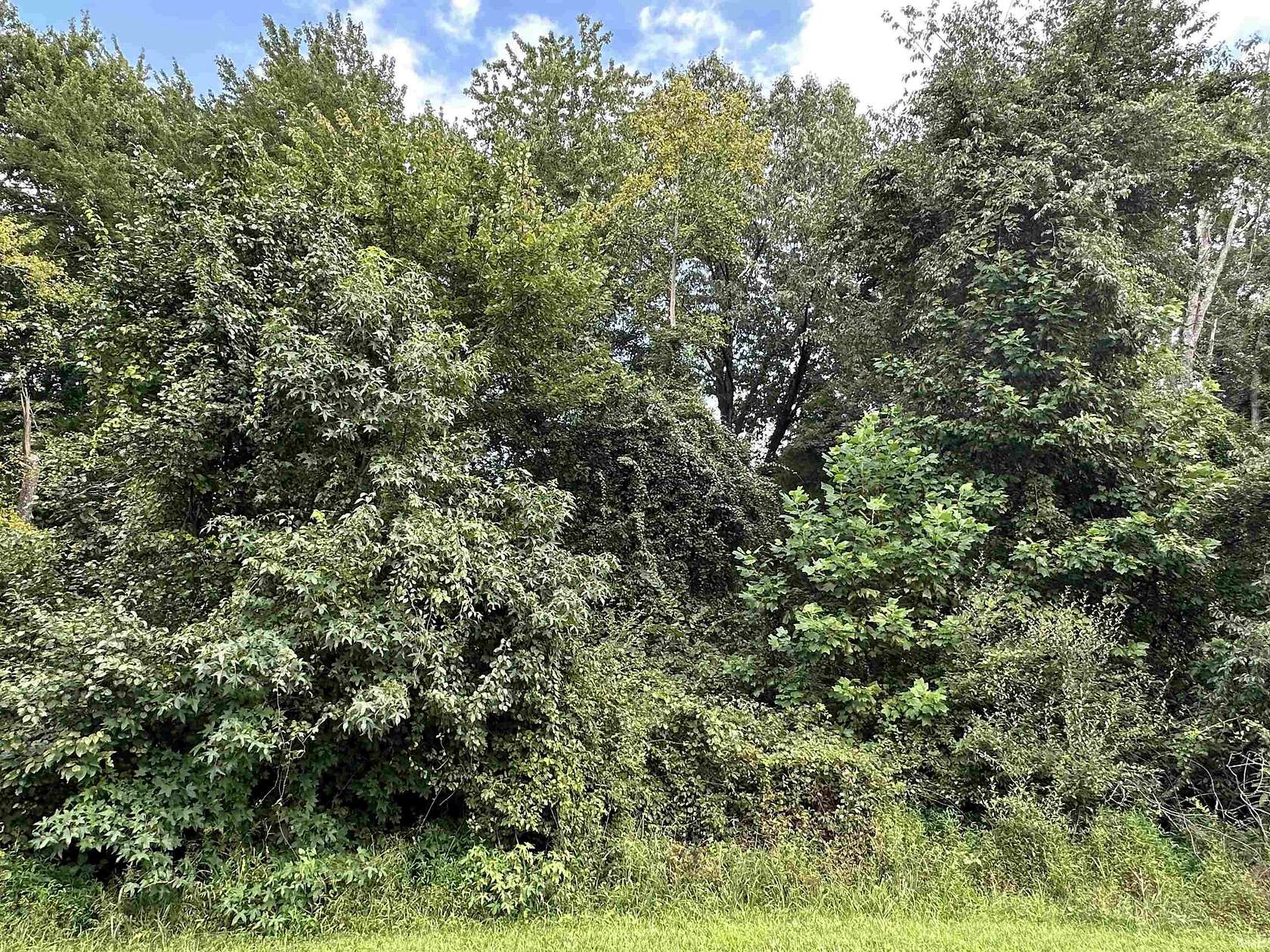 0.29 Acres of Residential Land for Sale in Santa Claus, Indiana