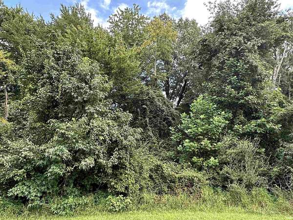 0.29 Acres of Residential Land for Sale in Santa Claus, Indiana