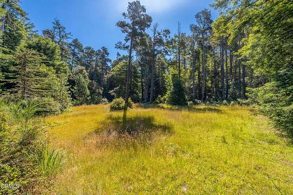 Residential Land for Sale in Fort Bragg, California