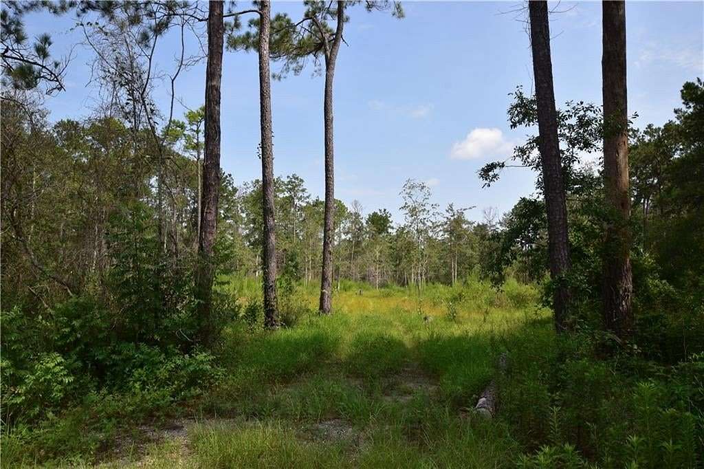 Land for Sale in Pearl River, Louisiana