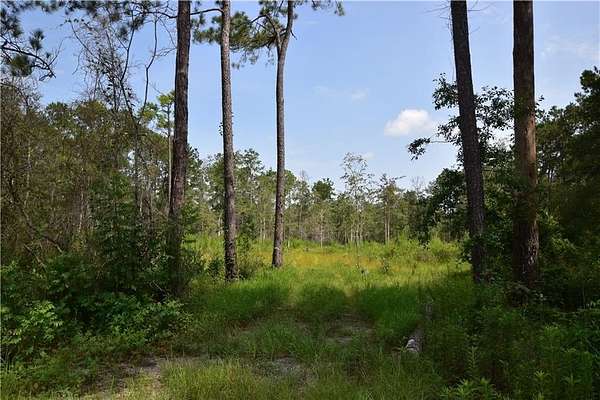 Land for Sale in Pearl River, Louisiana