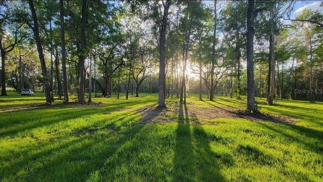 3.26 Acres of Residential Land for Sale in Reddick, Florida