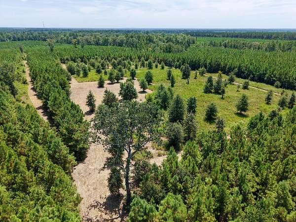 10 Acres of Residential Land for Sale in Diboll, Texas