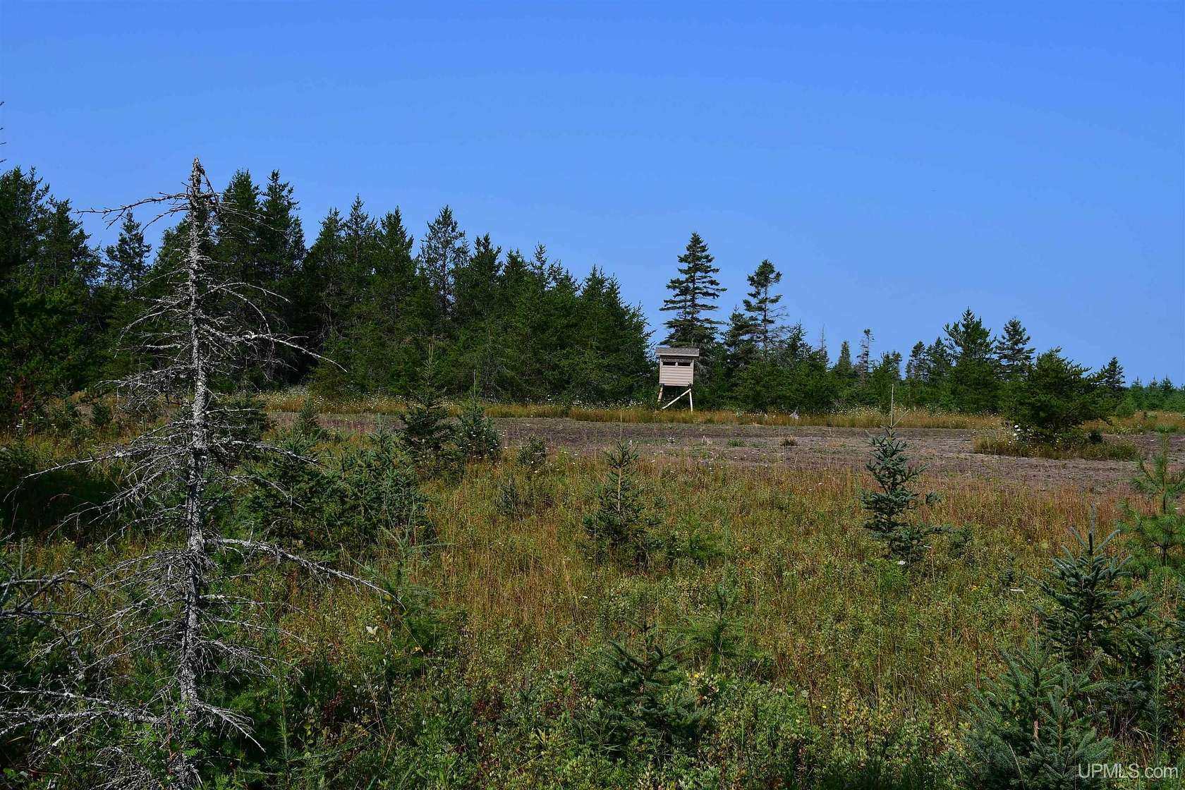 40 Acres of Recreational Land for Sale in Rapid River, Michigan