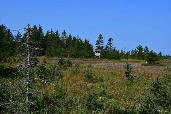 40 Acres of Recreational Land for Sale in Rapid River, Michigan