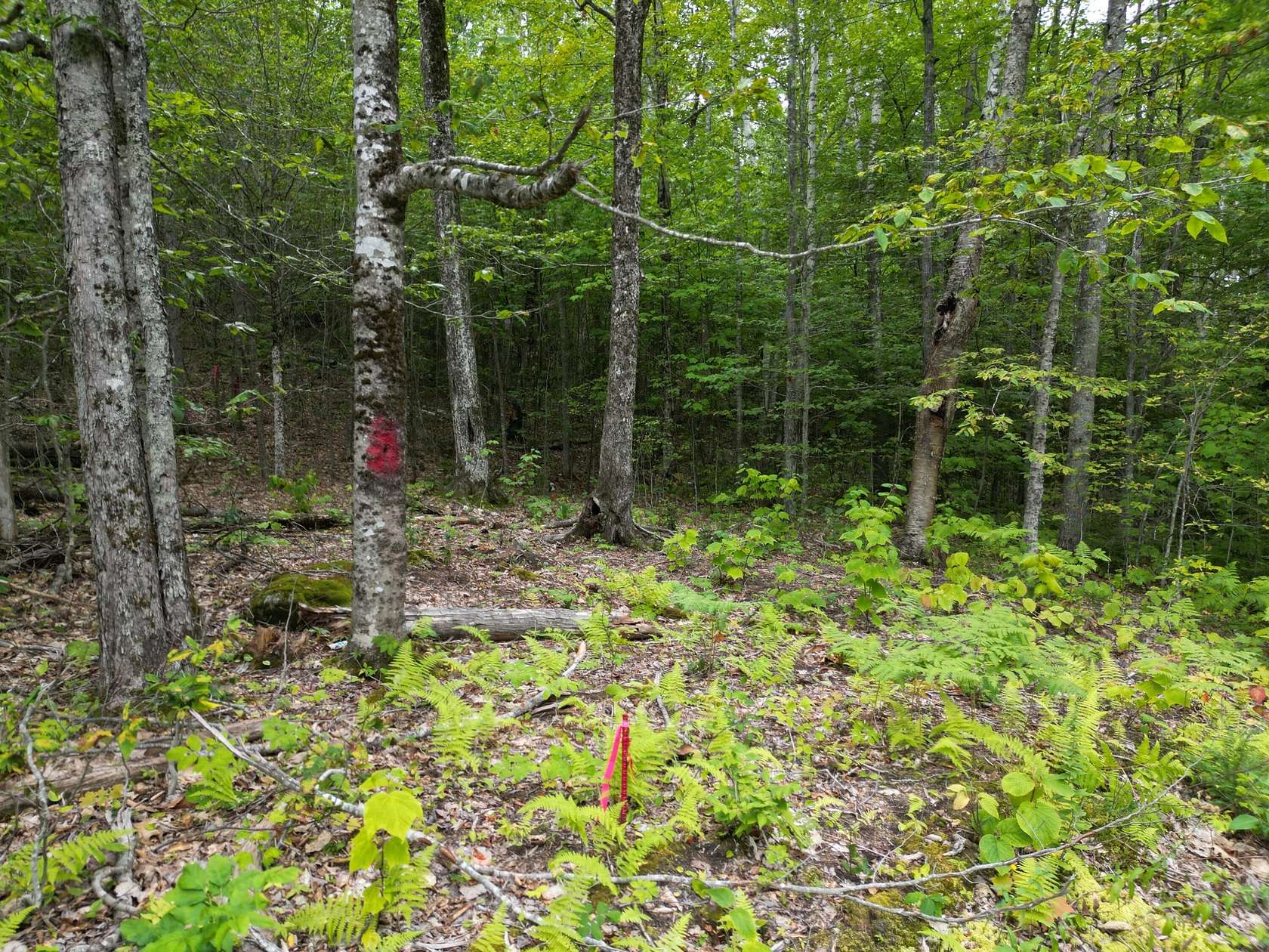 1.2 Acres of Residential Land for Sale in Lincoln, Maine