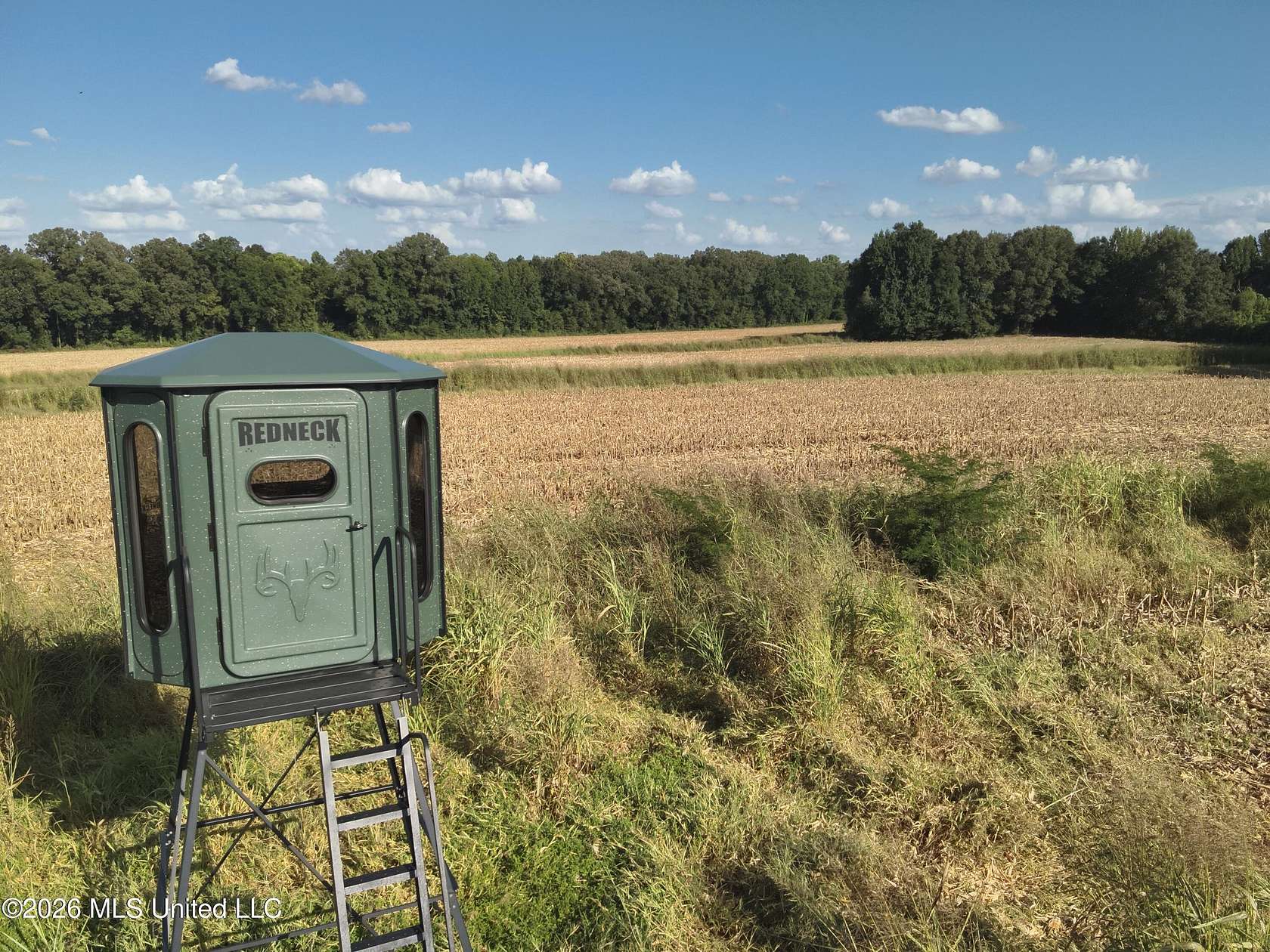 250 Acres of Land for Sale in Vaughan, Mississippi