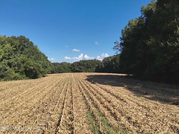 250 Acres of Land for Sale in Vaughan, Mississippi