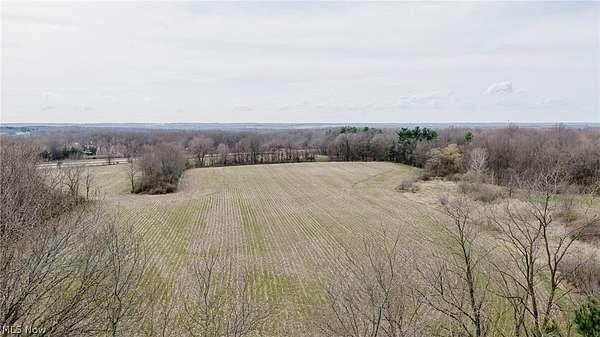 23.2 Acres of Agricultural & Residential Land for Auction in Canfield, Ohio