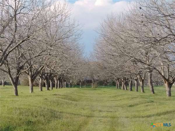 16 Acres of Land for Sale in Seguin, Texas
