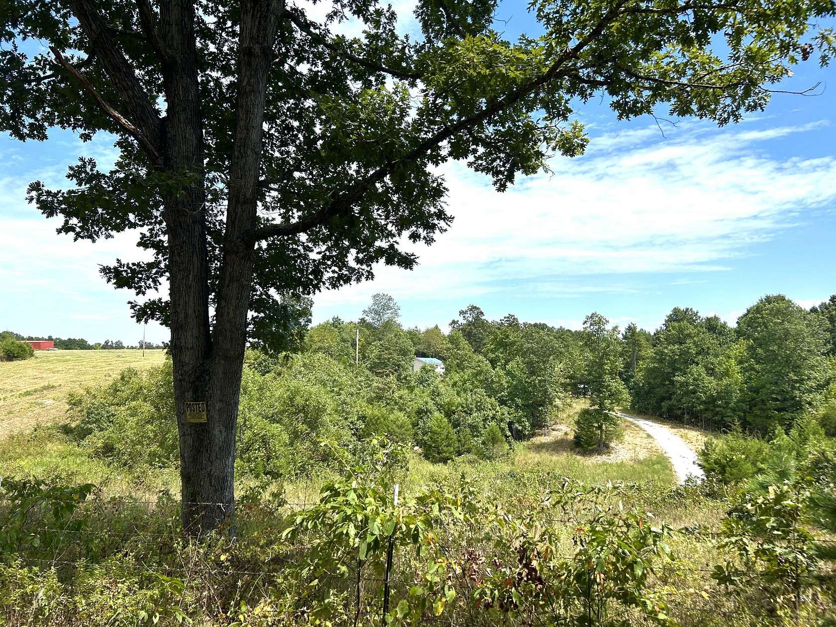 5 Acres of Residential Land for Sale in Licking, Missouri