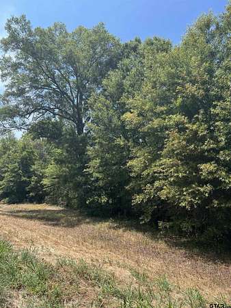 15 Acres of Land for Sale in Pittsburg, Texas