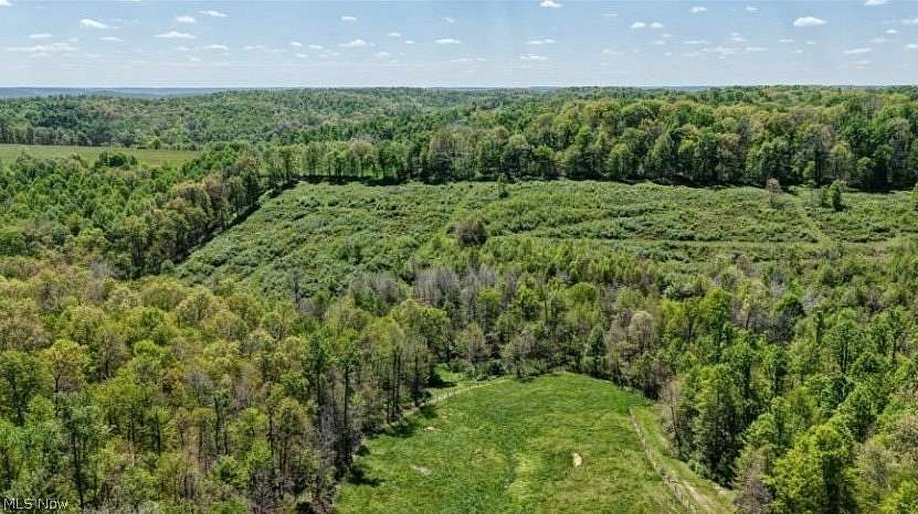 51.9 Acres of Recreational Land for Sale in Warsaw, Ohio
