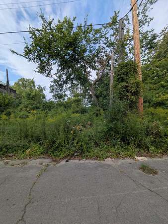 0.09 Acres of Residential Land for Sale in Detroit, Michigan