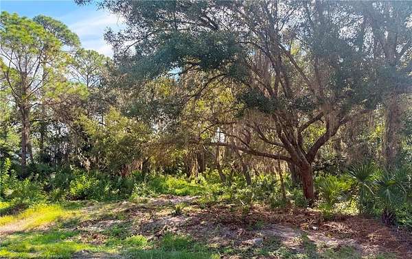 1 Acre of Residential Land for Sale in Sebring, Florida