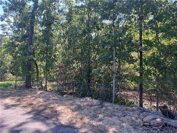 0.38 Acres of Residential Land for Sale in Bella Vista, Arkansas