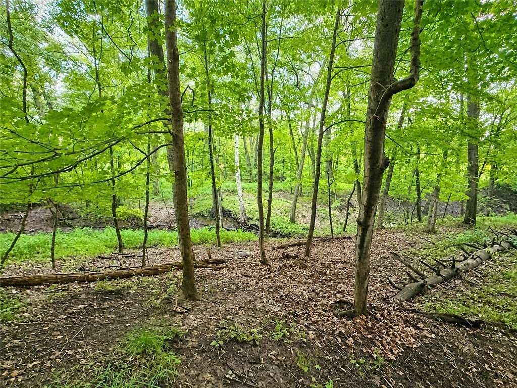 2.56 Acres of Residential Land for Sale in Rochester, New York