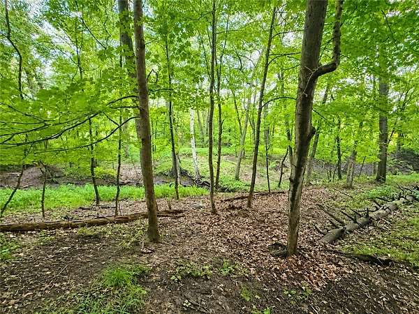 2.56 Acres of Residential Land for Sale in Rochester, New York