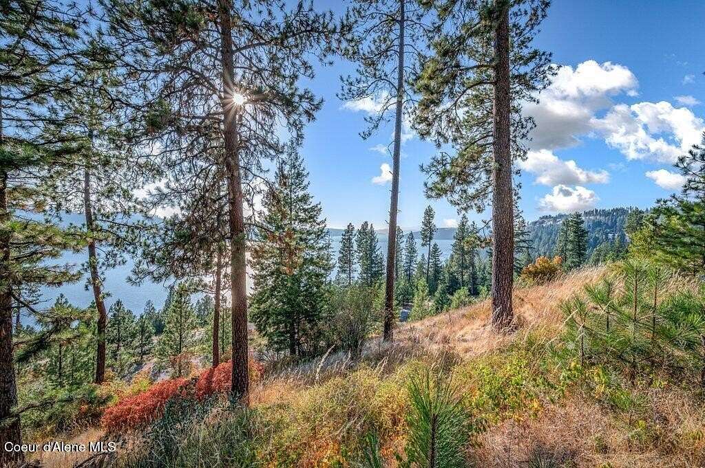 0.35 Acres of Residential Land for Sale in Harrison, Idaho