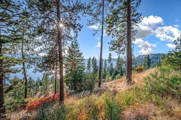 0.35 Acres of Residential Land for Sale in Harrison, Idaho