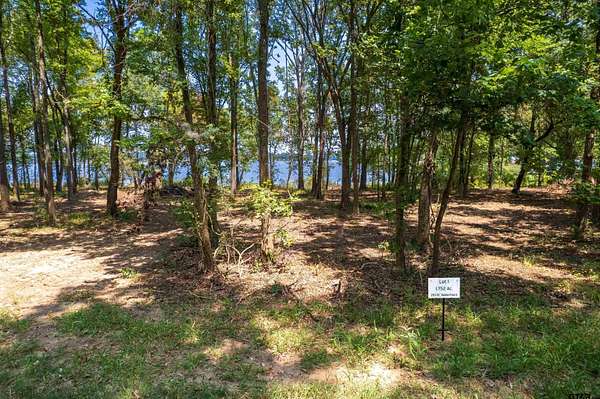 1.75 Acres of Residential Land for Sale in Leesburg, Texas