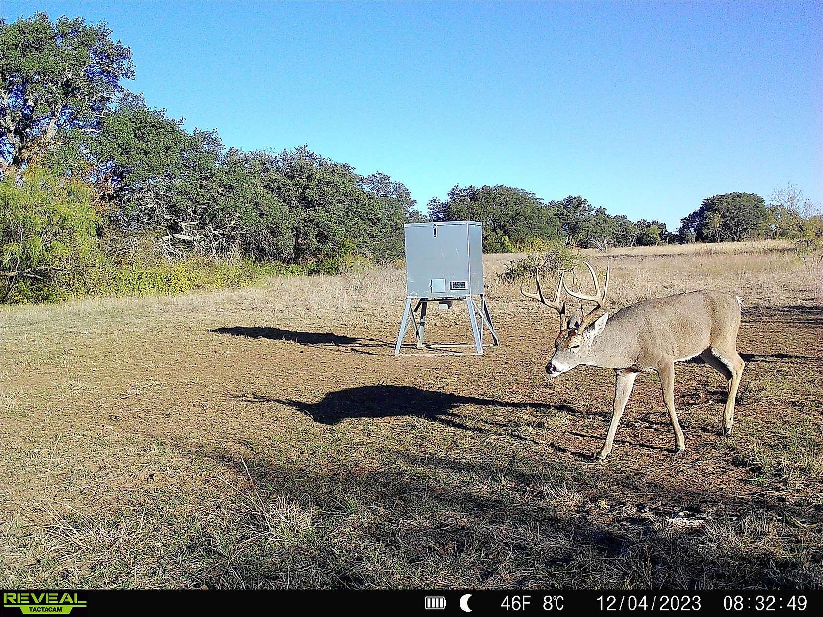 155 Acres of Land for Sale in Mullin, Texas