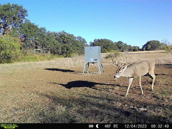 155 Acres of Land for Sale in Mullin, Texas