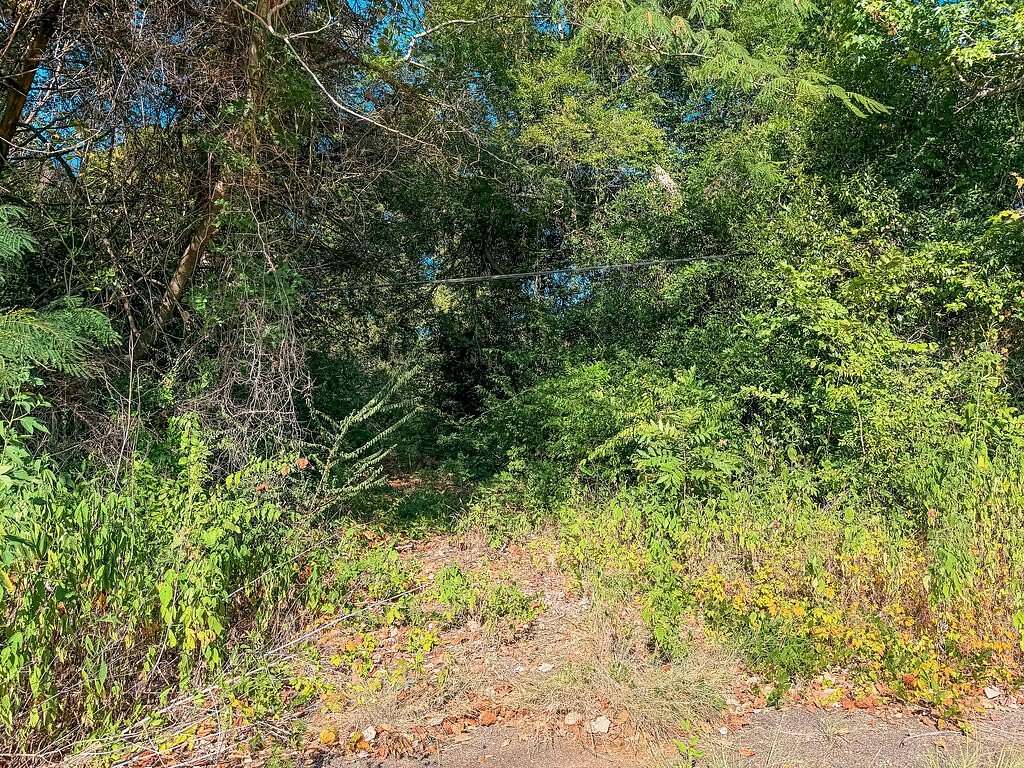22.5 Acres of Recreational Land for Sale in Palestine, Texas