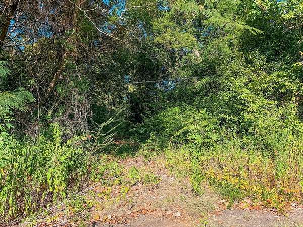 22.5 Acres of Recreational Land for Sale in Palestine, Texas