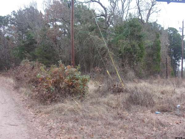 1.24 Acres of Residential Land for Sale in Murchison, Texas