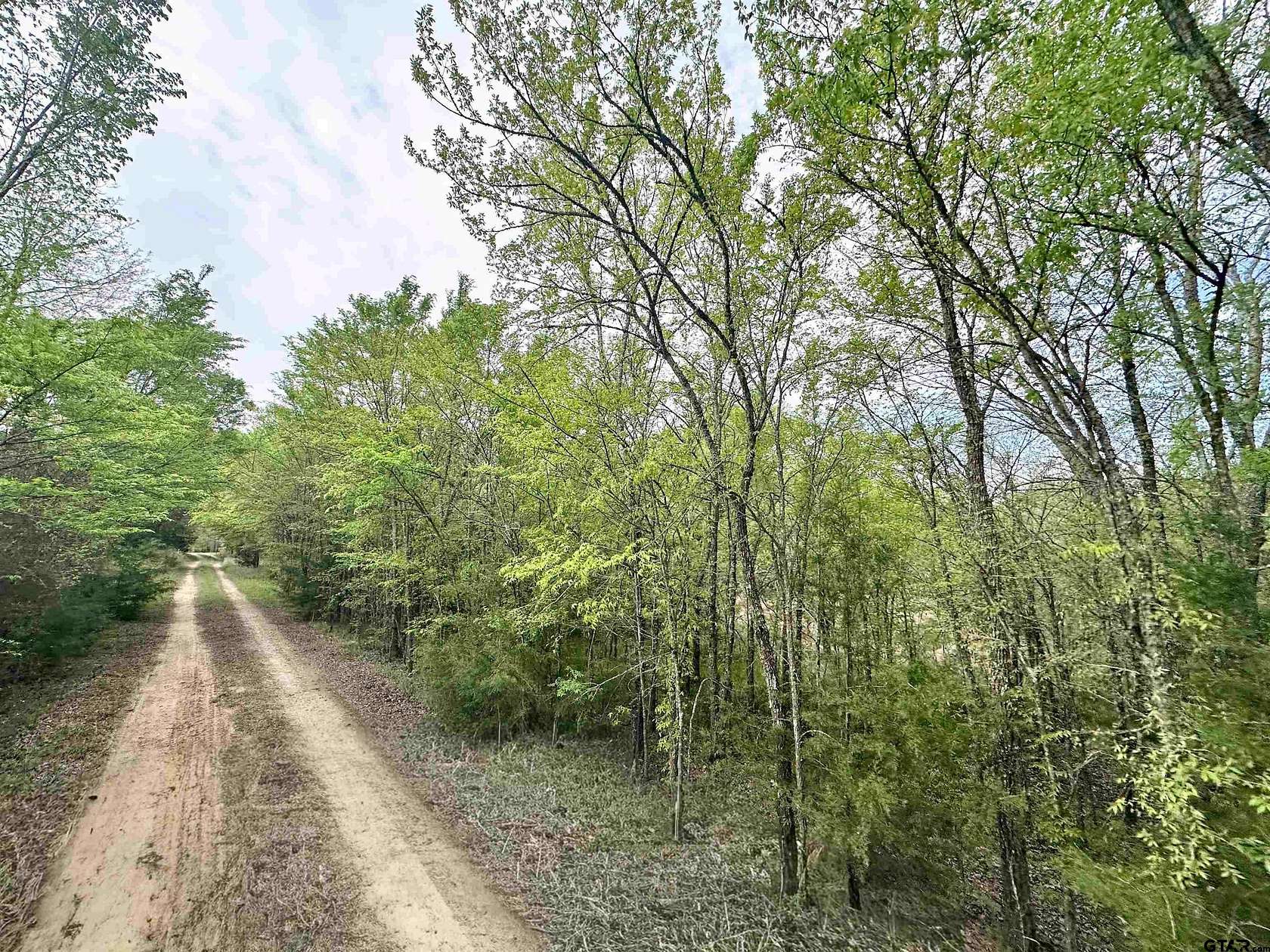 13.2 Acres of Recreational & Residential Land for Sale in Murchison, Texas