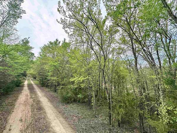 13.2 Acres of Recreational & Residential Land for Sale in Murchison, Texas
