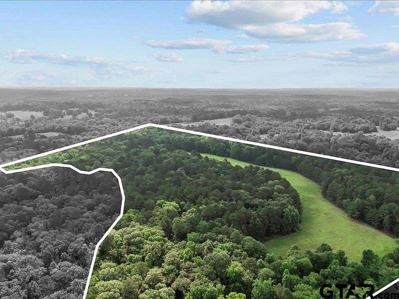 79.4 Acres of Recreational & Residential Land for Sale in Elkhart, Texas
