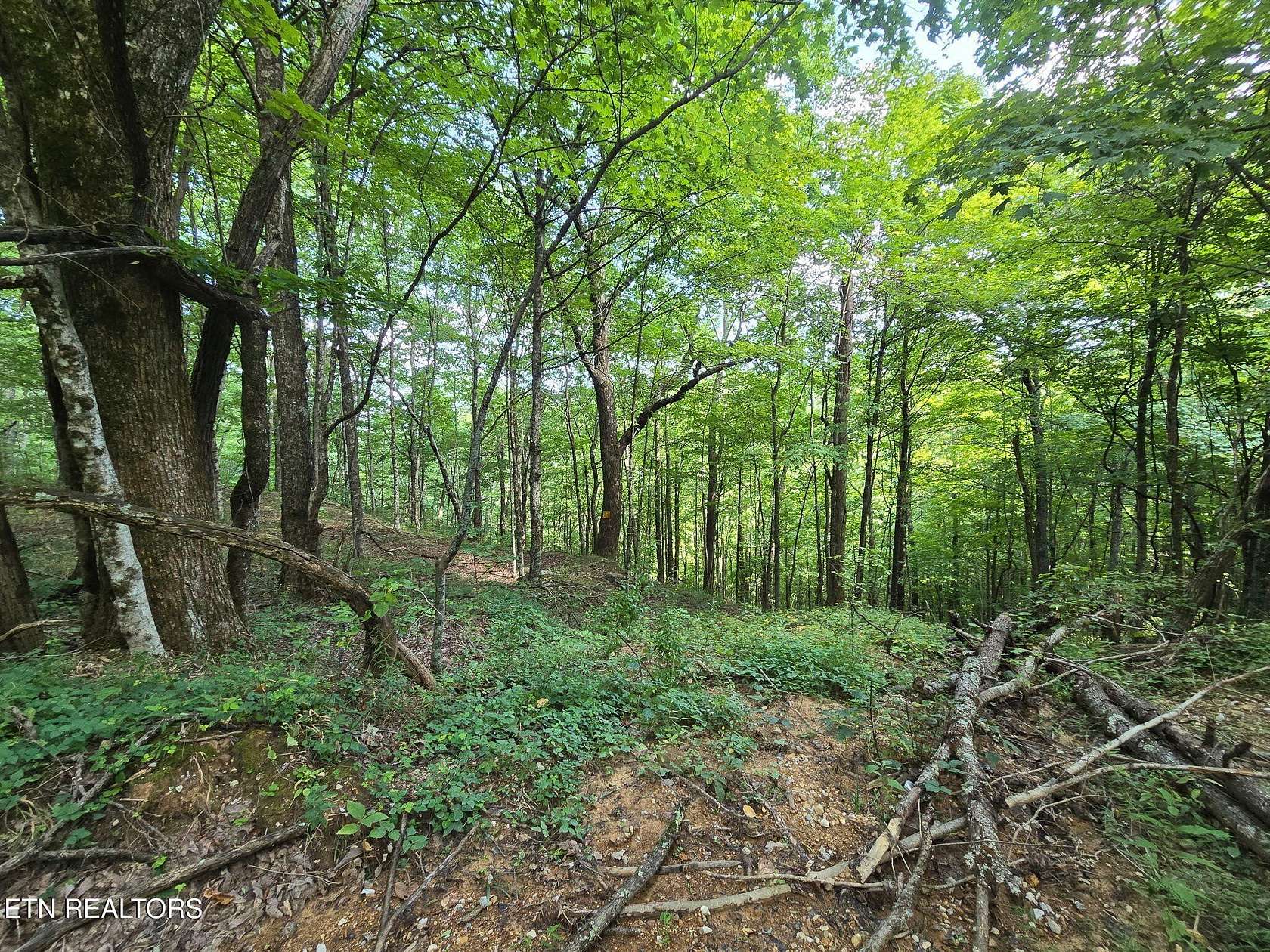 32.3 Acres of Recreational Land for Sale in Oneida, Tennessee