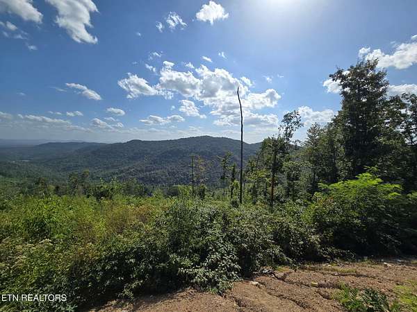 32.3 Acres of Recreational Land for Sale in Oneida, Tennessee