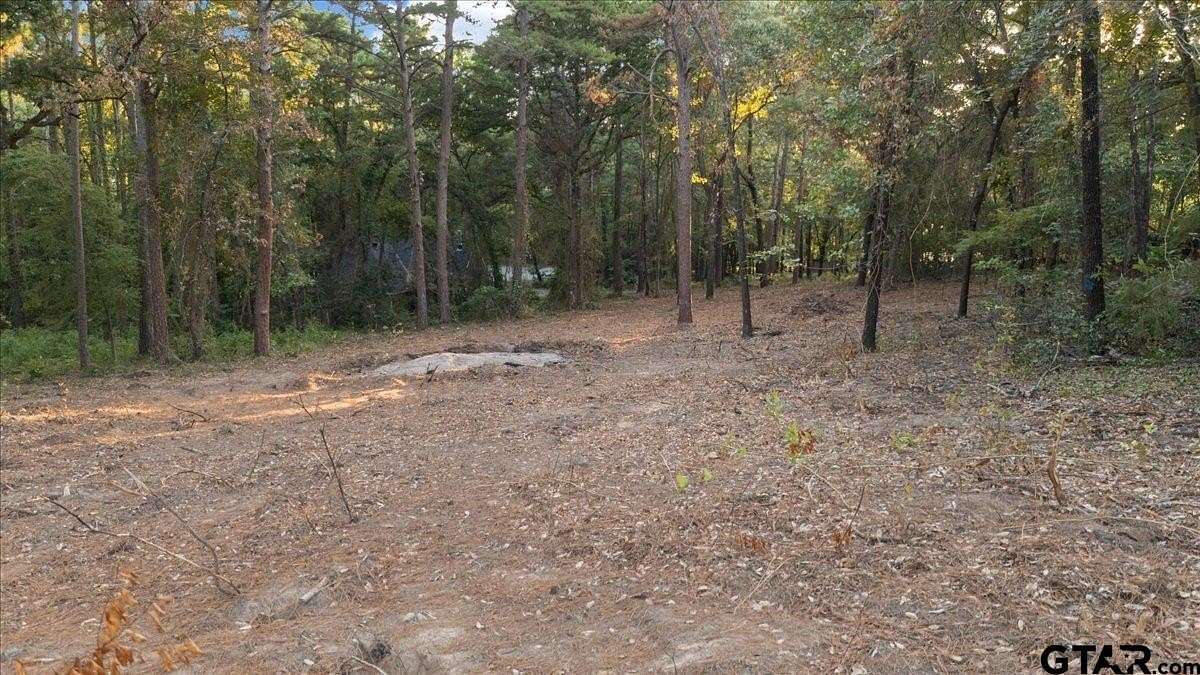 0.35 Acres of Residential Land for Sale in Flint, Texas