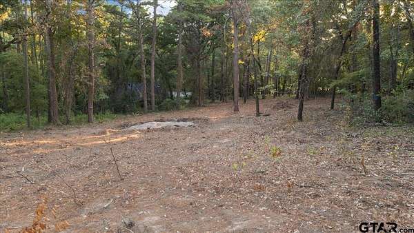 0.35 Acres of Residential Land for Sale in Flint, Texas