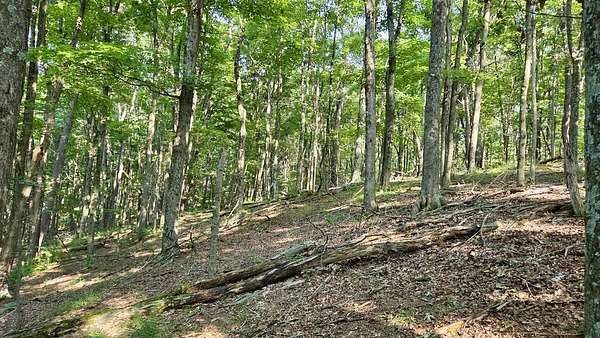 15 Acres of Recreational & Residential Land for Sale in Coaldale, Pennsylvania