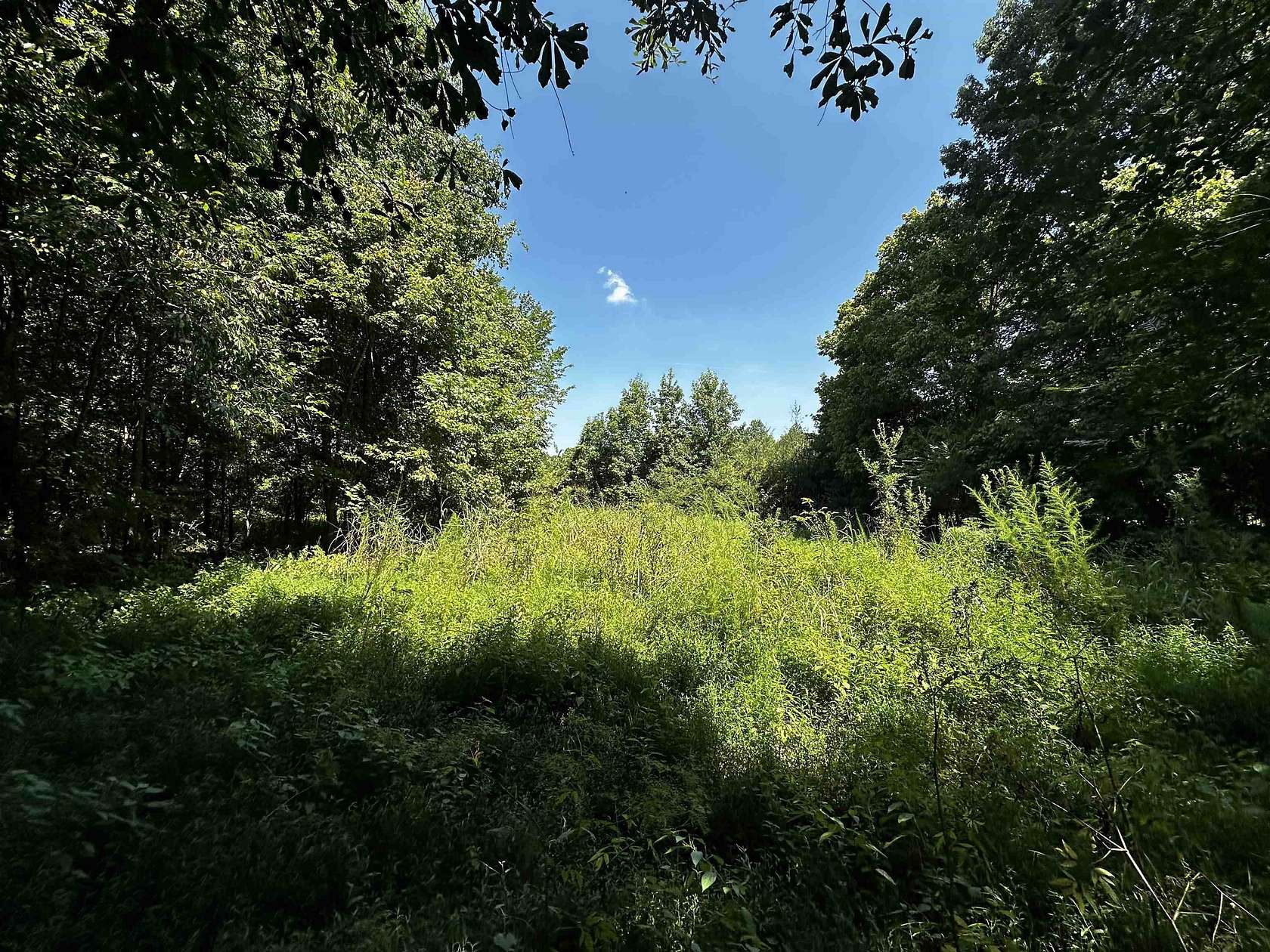 20.4 Acres of Land for Sale in Eads, Tennessee