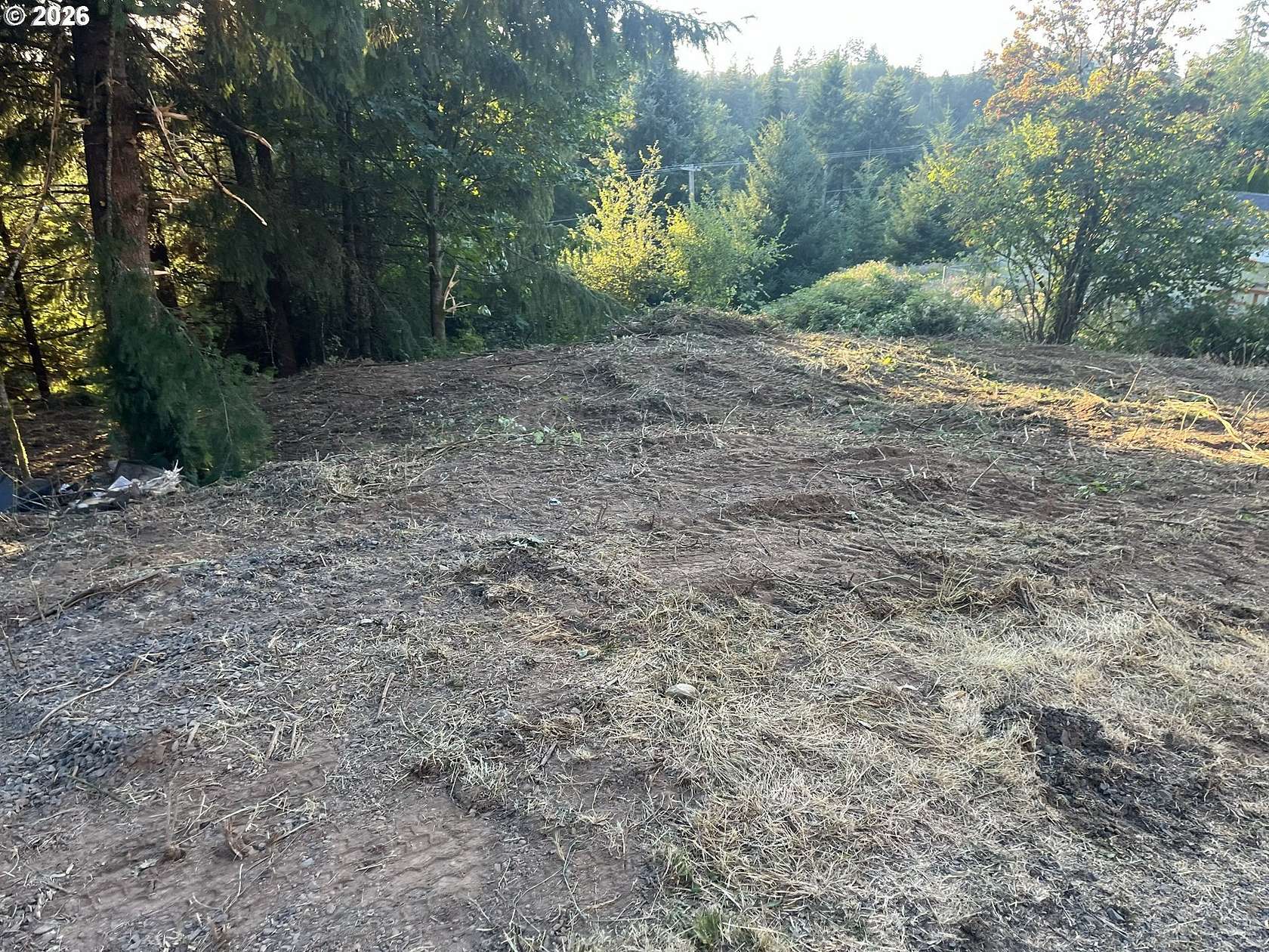 0.65 Acres of Residential Land for Sale in Winlock, Washington